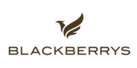 Blackberrys logo
