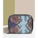 Caprese Women Casual Blue Artificial Leather Wallet