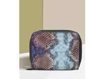 Caprese Women Casual Blue Artificial Leather Wallet