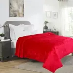 Dream Living Premium Flannel Double Bed Winter Blanket Maroon