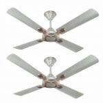 Havells Leganza ES 4B Ceiling Fan Bronze Gold