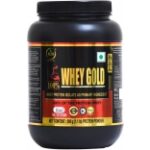 N2B Whey Gold Protein Gourmet Chocolate Supplement