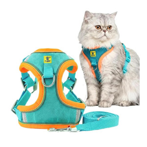 A+a Pets Suede Harness & Leash Set at Rs354 | Amazon Deal