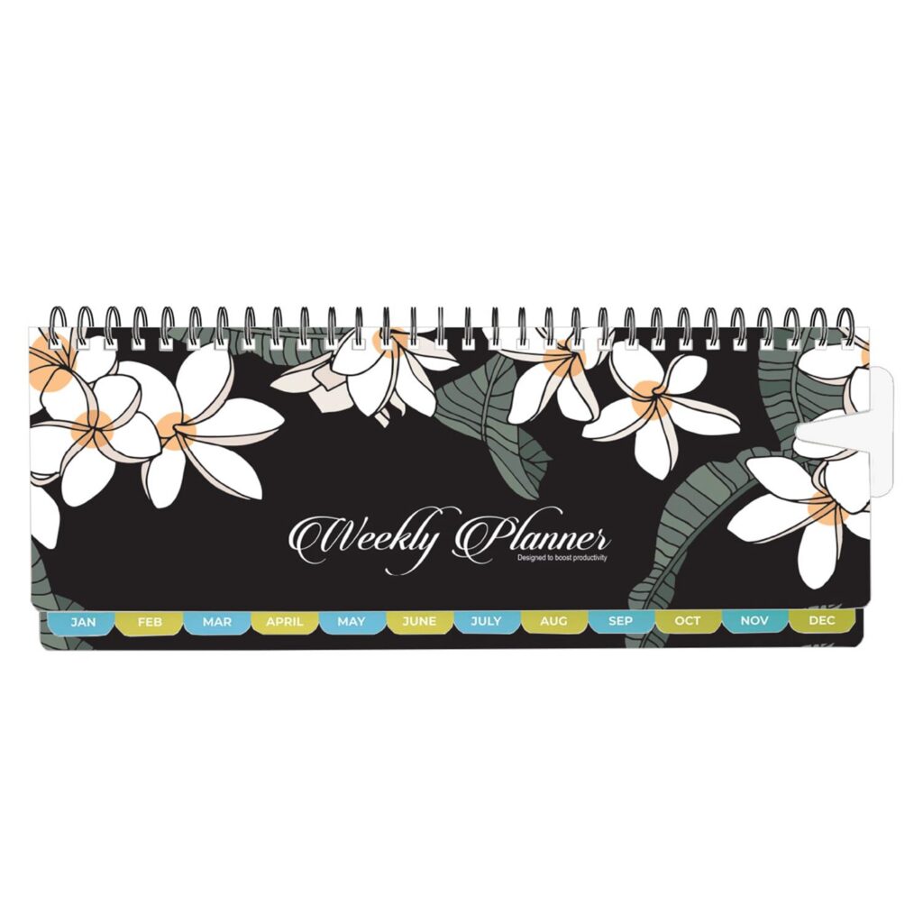 Amazon Basics Weekly Planner 53 Weeks Undated Appointment Book Rs. 123
