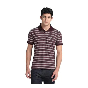 Arrow Stripe Logo Polo Shirt at Rs404 | Amazon Deal