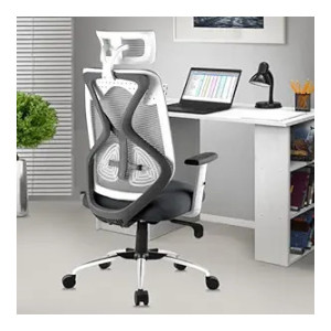 ASTRIDE Ergofit Ergonomic Office Chair for Home with 3-Years Warranty