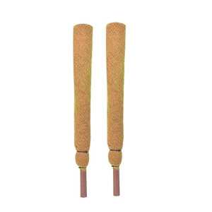 Balaji Creator Coco Pole Moss Stick 4FT-02 PC (120 CM)