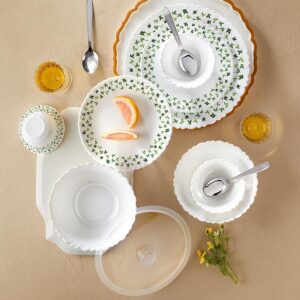 Borosil Silk Series Sage Opalware Dinner Set 41 Pcs for 6 Rs. 1580