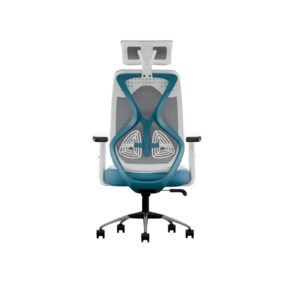 CELLBELL C190 Berlin Office Chair High Back Mesh Ergonomic Desk Chair White Blue Rs 5997 Amazon Deal