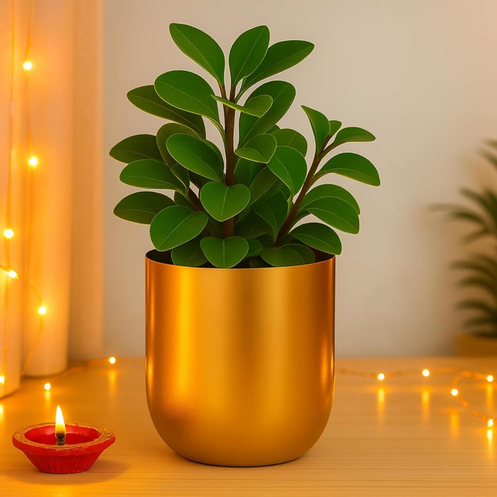 Deal 5% Off Ecofynd Round Metal Planter Gold Rs.152