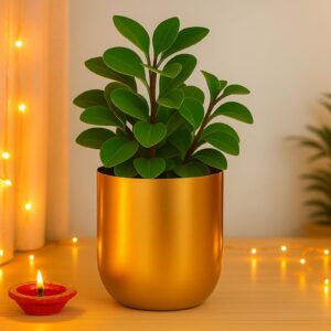 Deal 5% Off Ecofynd Round Metal Planter Gold Rs.152