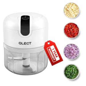 Electric Chopper for Kitchen Rs. 448