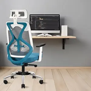 Ergolux Ergonomic Office Chair Teal Rs.4199 @ Amazon