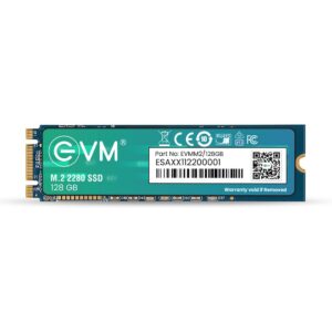 EVM 128GB M.2 SATA SSD Deal Rs. 1049