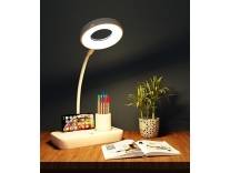 Fizzytech LED Desk Lamp