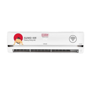Hitachi 1.5 Ton 5 Star Wi-Fi Inverter Split AC