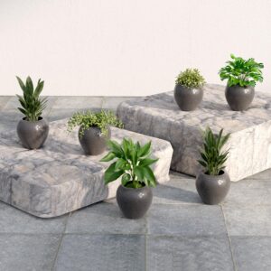 Home Decor Flower Pot Set Deal Rs. 347