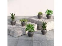 Home Decor Flower Pot Set Deal Rs. 347