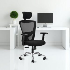IAFA Jade Ergonomic Office Chair Black Rs 4849