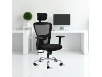 IAFA Jade Ergonomic Office Chair Black Rs 4849
