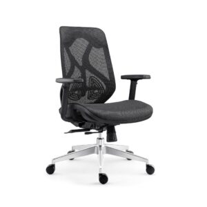 INNOWIN Berlin Ergonomic Mesh Chair Deal ₹5768 (After Coupon)