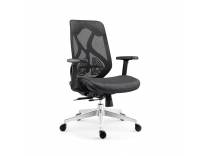 INNOWIN Berlin Ergonomic Mesh Chair Deal ₹5768 (After Coupon)