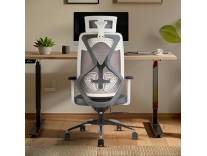 INNOWIN Tokyo Office Chair ₹5570 [₹2000 Coupon]