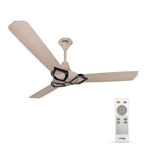 RR Signature Jaipur Gangaur BLDC 5 Star Ceiling Fan Rs 2699