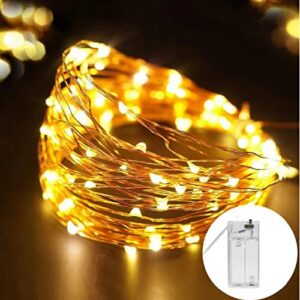 Deal Desidiya LED Fairy Lights Warm White 5M 50 LEDs Rs. 108