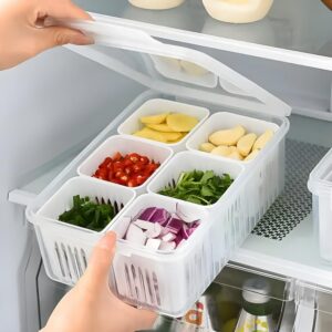 Lembose Fridge Storage Boxes Set of 1 for Rs. 126