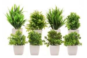 Deal MIMICROPS Artificial Plants 8 Pack Realistic Rs. 232