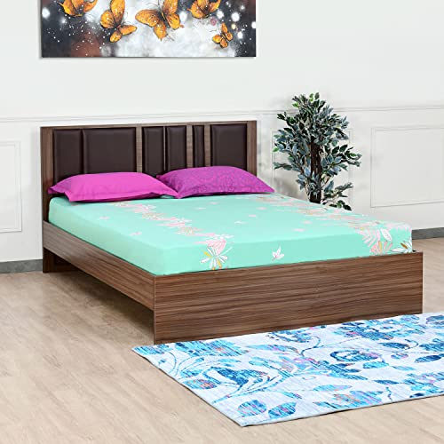 Nilkamal Sterling King Bed Rs. 16899 (Apply ₹7000 Coupon)
