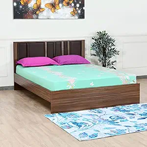 Nilkamal Sterling King Bed Rs. 16899 (Apply ₹7000 Coupon)