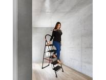 Deal Parasnath Black Diamond Steel Ladder Rs. 2429