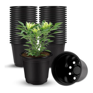 Plastic Flower Nursery Pots 3 Inch (Pack of 40)