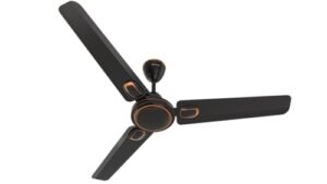 Polycab Superb Plus 1200mm Ceiling Fan Deal Rs. 1799
