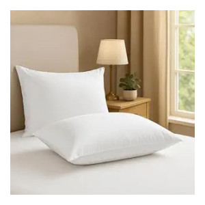 Premium Soft Fluffy Microfiber Pillows (Set of 2)