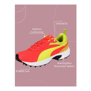 PUMA Cricket Active Shoes For Men