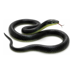 RZA Realistic Black Rubber Snake Toy (28-inch)