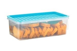 Deal Refrigerator Organizer Container 3000ml Rs. 223