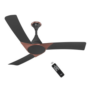 RR Signature Raptor 1200mm BLDC Designer Ceiling Fan