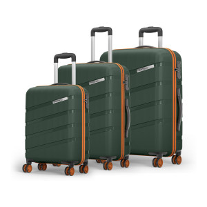 Safari Magnum Evolix Hard Body Set of 3 Luggage