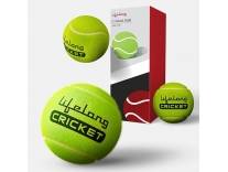 Soft Cricket Tennis Ball Set of 3 Rs.159 @ Amazon