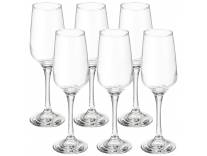 Solimo Champagne Glass Set 6