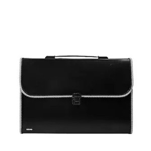 Solimo Expanding File Folder with 13 Pockets, Handle, and Buckle Closure, for A4 Size Documents