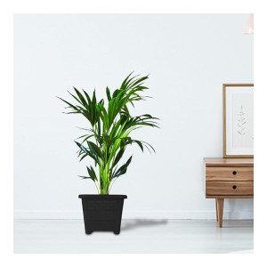 TrustBasket EarthBox-6 Square Plastic Planters (Set of 3)