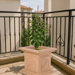 Bigsmall Tulsi Plant Pots