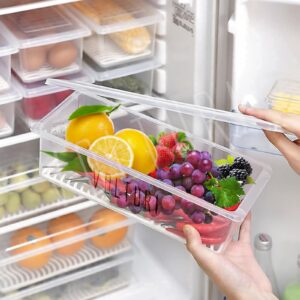 Volturi Fridge Storage Containers (3