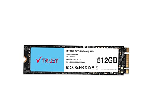 VTRUST 512GB M.2 2280 SSD