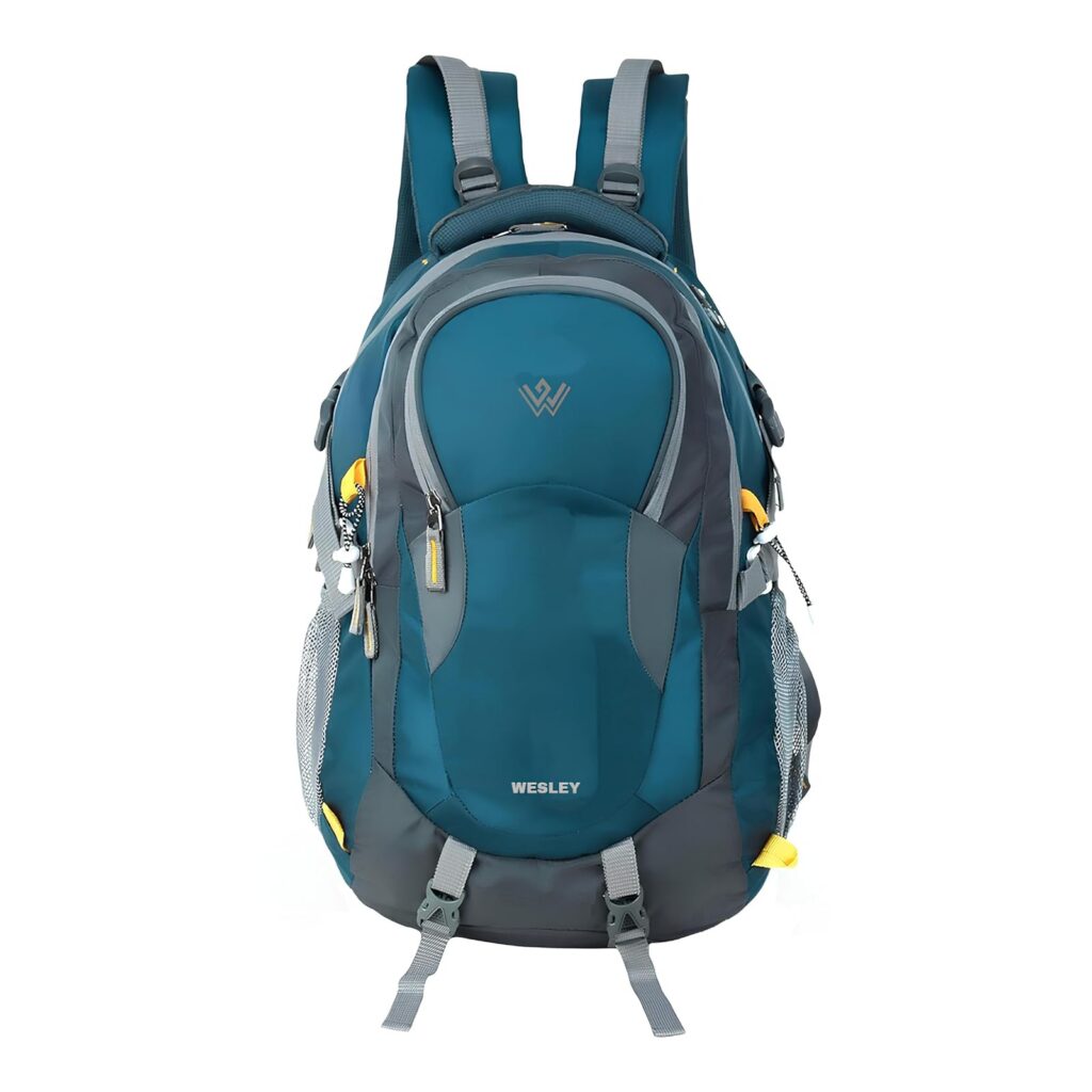 Deal Wesley Spartan 17.3 inch Laptop Backpack Rs. 494